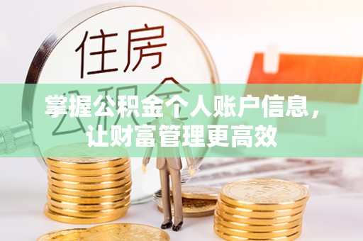 双流掌握公积金个人账户信息，让财富管理更高效