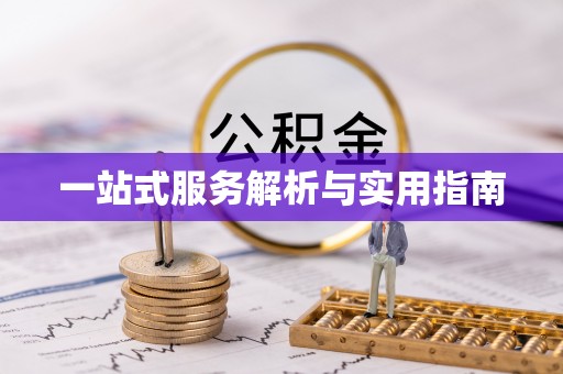 双流一站式服务解析与实用指南