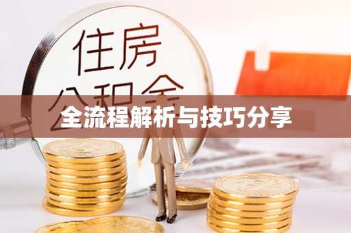 双流全流程解析与技巧分享